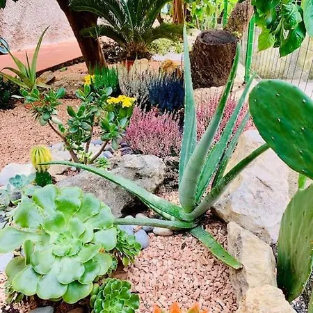 Casa Dei Limoni Apartment