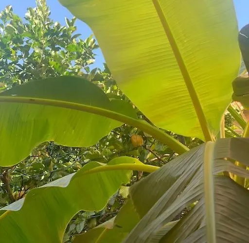 Lägenhet Casa Dei Limoni