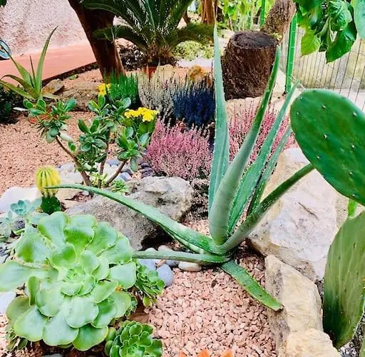 Casa Dei Limoni Lägenhet